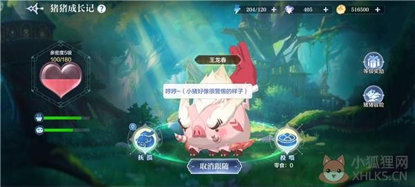 宠物培养