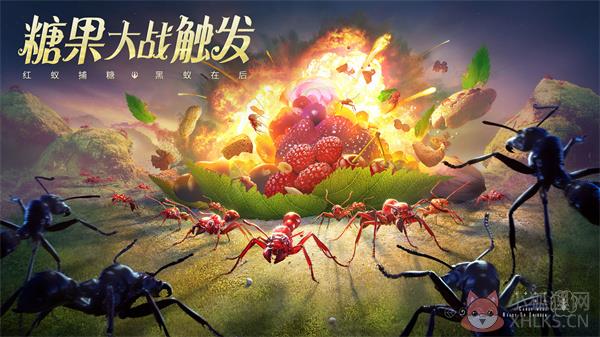 小小蚁国测试版