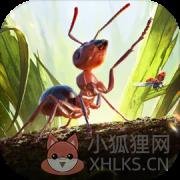 小小蚁国内置菜单版 小小蚁国内置菜单版