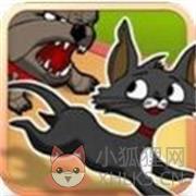 小猫出逃记