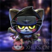 猫猫侠