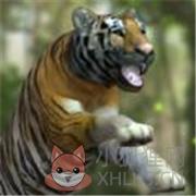 猛兽历险记