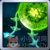 触手的战争