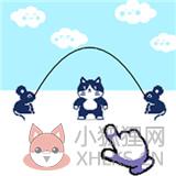 趣逗猫 趣逗猫