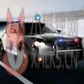 警车自由驾驶 警车自由驾驶