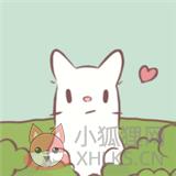 猫和汤 猫和汤