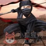 忍者武士生存之战