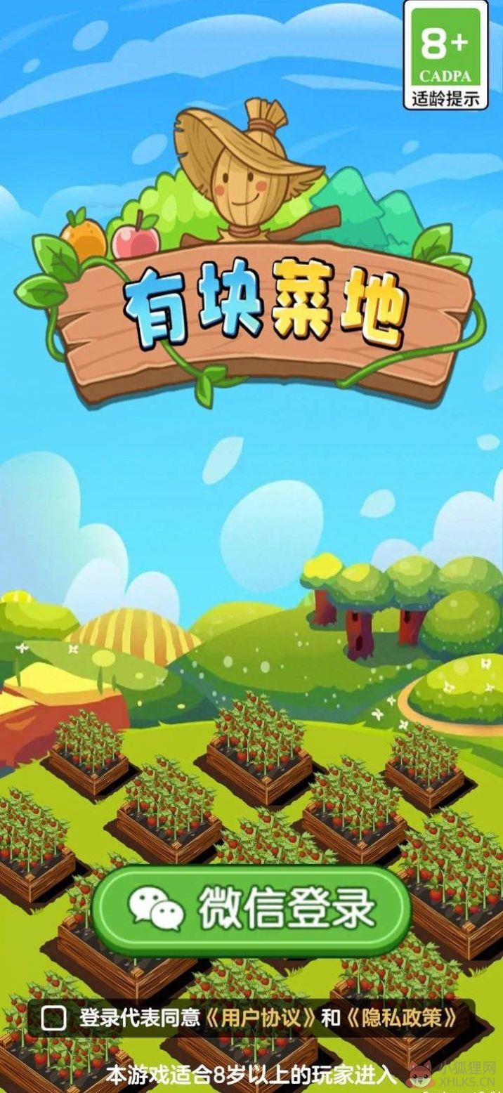 有块菜地游戏