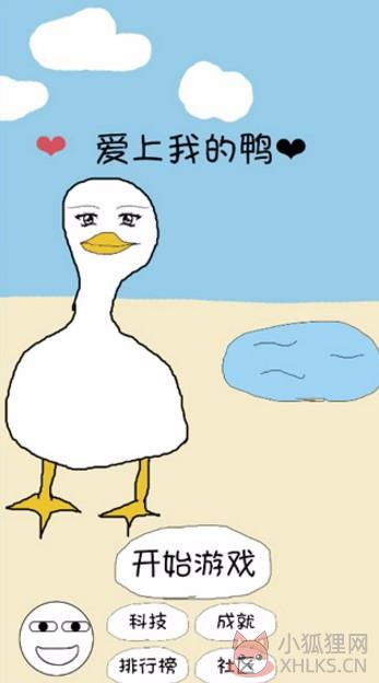 爱上我的鸭