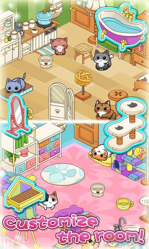 猫咪宿舍