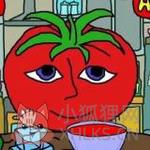 番茄先生无敌版