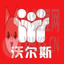 沃尔斯