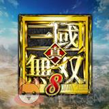 真三国无双8关银屏mod 真三国无双8关银屏mod
