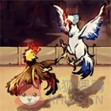 疯狂斗鸡场无限资源 疯狂斗鸡场无限资源