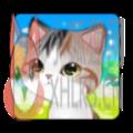 我的猫咪咖啡厅