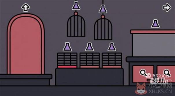 黑暗之后的宠物店