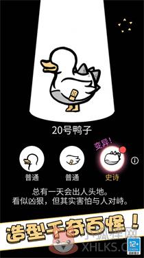 奇怪萌宠