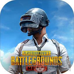 地铁逃生最新版本(PUBG