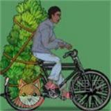 奥德彪逆袭记 奥德彪逆袭记