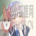 今日有喜 今日有喜