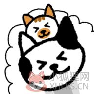 猫咪真的很爆爆