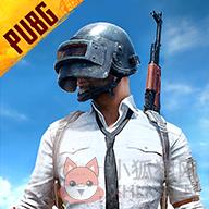 pubgmobile国际服