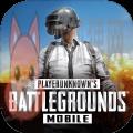 地铁逃生国际服免费(PUBG