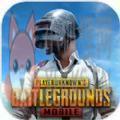 绝地求生国际服地铁逃生(PUBG