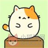 跳跳布尼猫